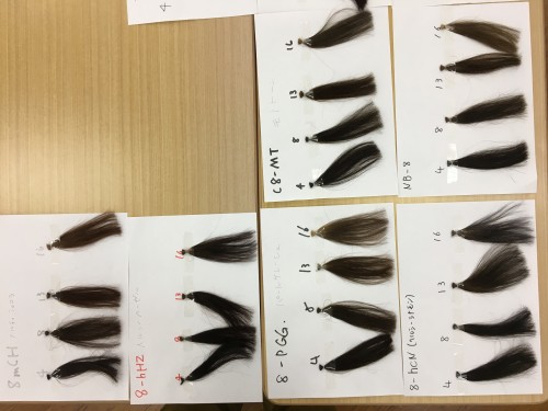 5FB500DE-3DBE-49AE-A3D6-4B07A10CD14C