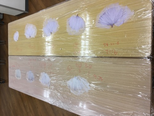 E9F227D7-785A-4F3C-80ED-5304D79557DB