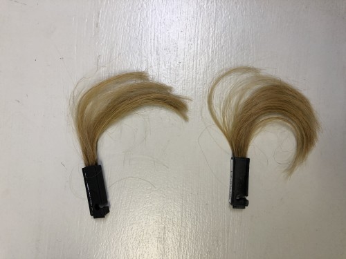 535DC10F-C9B7-4E42-A87D-94429F9E5847