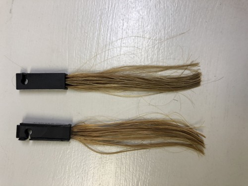 6B555F57-99E0-481F-BCB9-37E431DB86F8